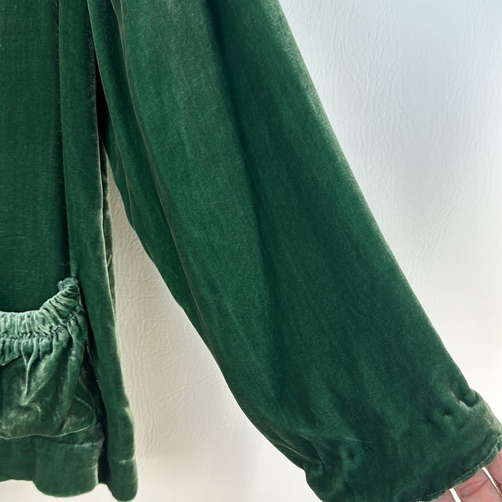 The Territory Ahead Button Down Velour Jacket Blazer, MP - Picture 4 of 9